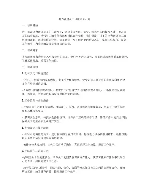 电力新进员工班组培训计划
