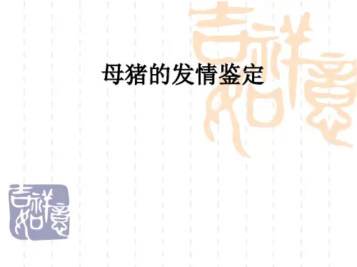母猪的发情鉴定ppt课件