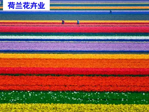 高中地理必修二农业地域的形成