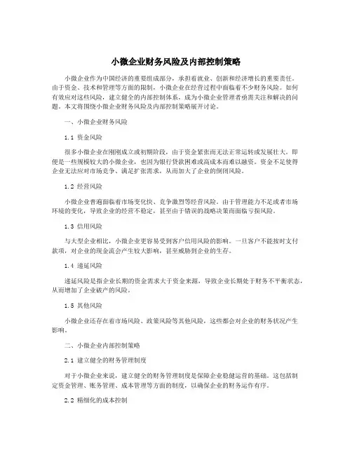 小微企业财务风险及内部控制策略