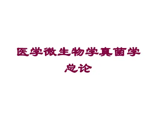 医学微生物学真菌学总论培训课件
