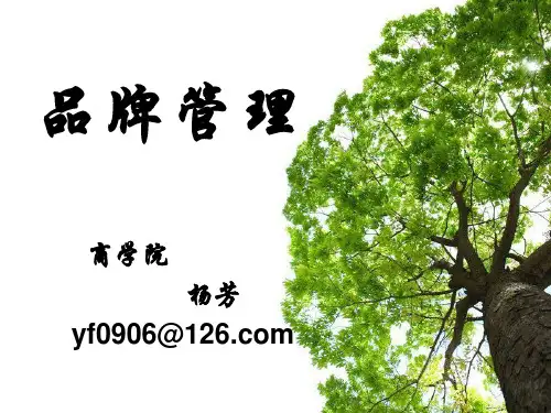 品牌国际化概述PPT(共29页)