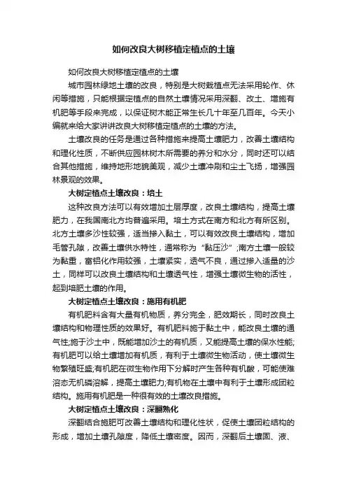 如何改良大树移植定植点的土壤
