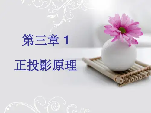 园林工程制图与识图第3章 1正投影原理