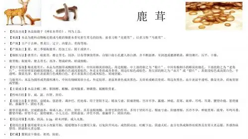72.鹿茸