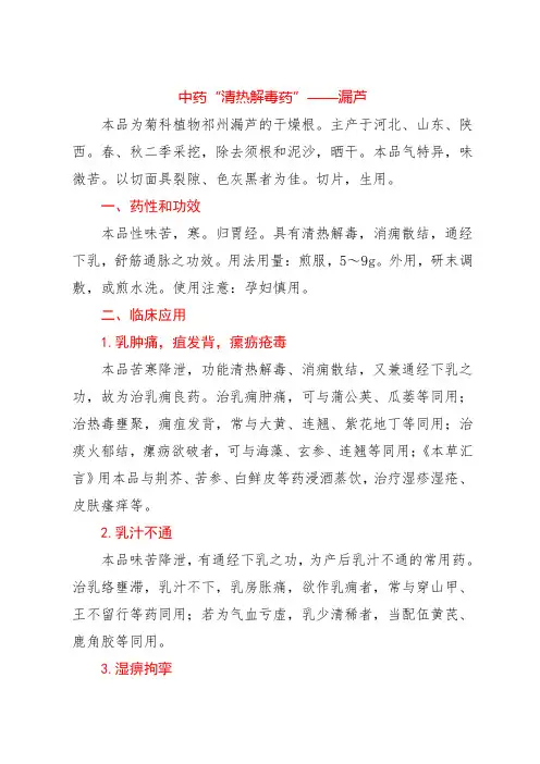 中药“清热解毒药”——漏芦