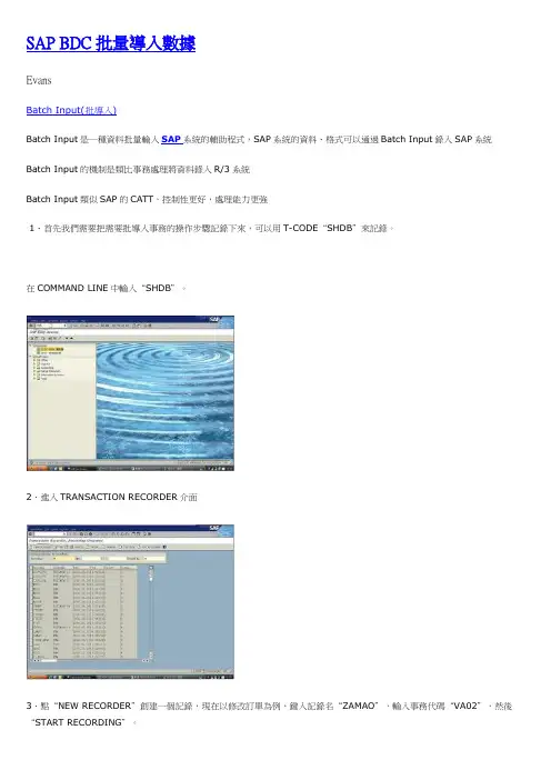 SAP BDC批量导入数据