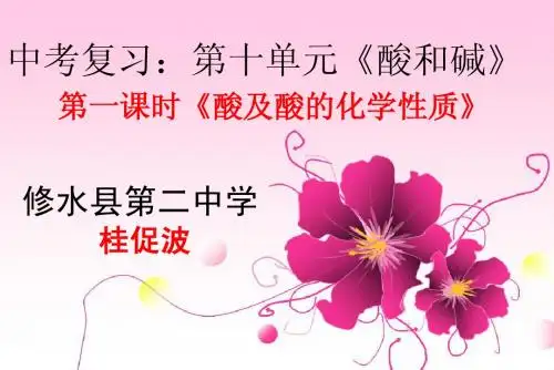 中考复习：第十单元《酸和酸的化学性质》