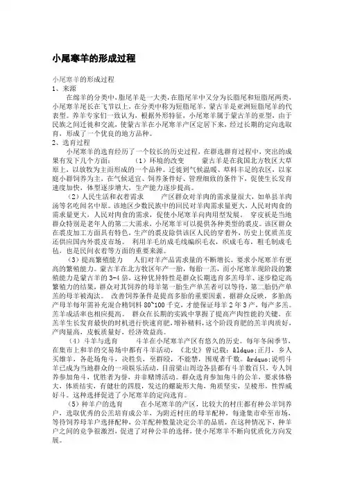 小尾寒羊的形成过程