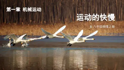 八年级物理上册教学课件《运动的快慢》