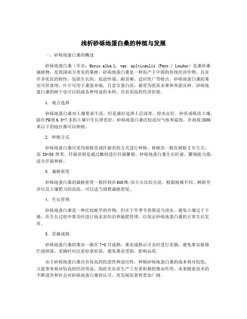 浅析砂砾地蛋白桑的种植与发展