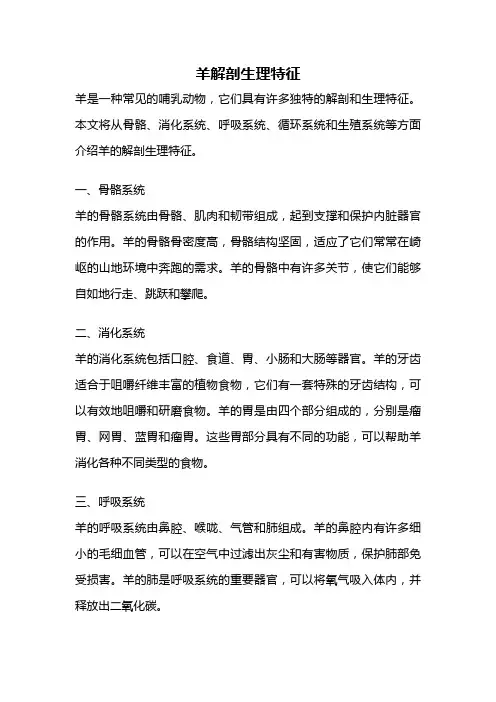 羊解剖生理特征