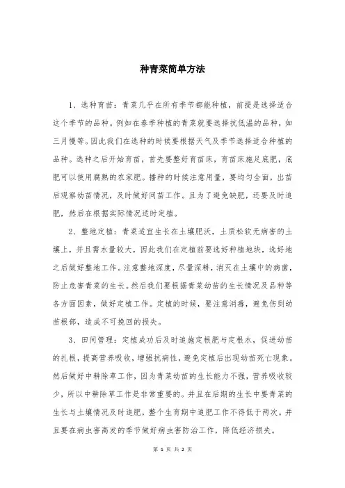 种青菜简单方法