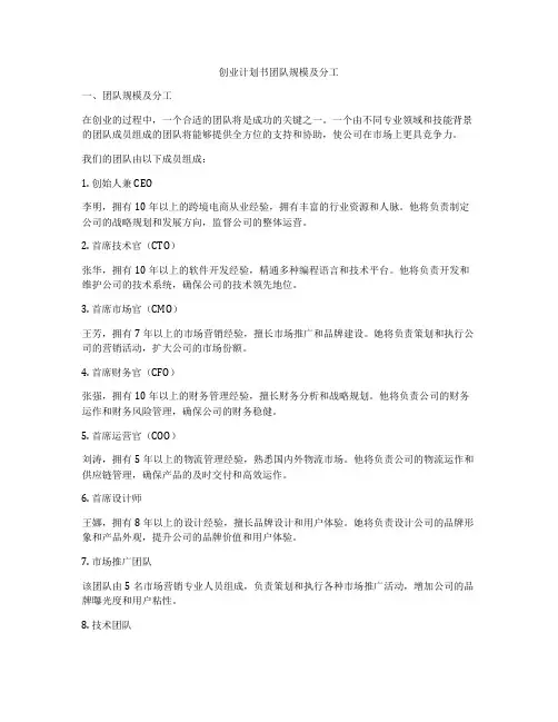 创业计划书团队规模及分工