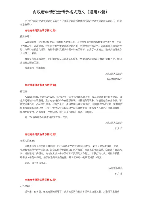 向政府申请资金请示格式范文（通用12篇）