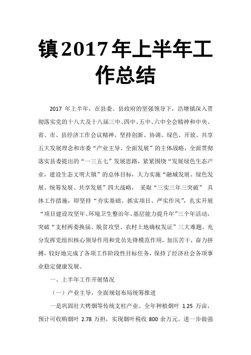 镇2017年上半年工作总结