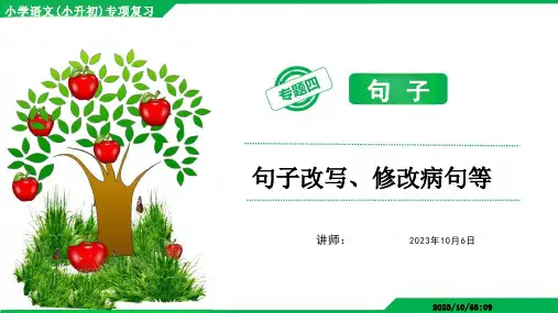 小学语文(小升初)总复习专题四句式改写修改病句课件