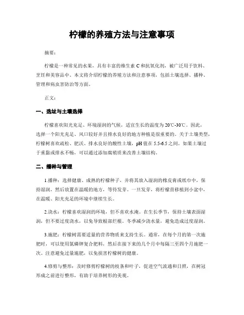 柠檬的养殖方法与注意事项