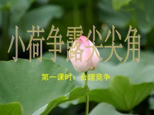 湘教版初一上册政治4.1第一节小荷争露尖尖角PPT课件(4)