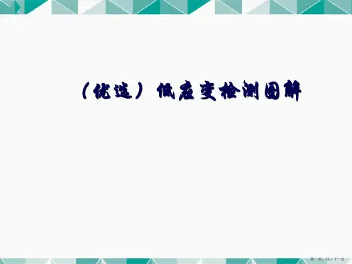 演示文稿低应变检测图解
