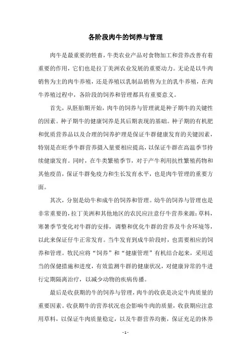 各阶段肉牛的饲养与管理