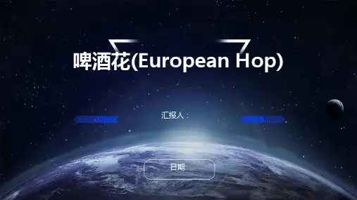 啤酒花(Europeanhop)