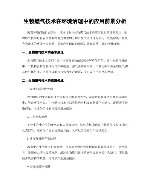 生物燃气技术在环境治理中的应用前景分析