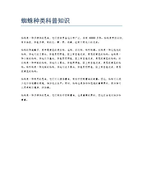 蜘蛛种类科普知识