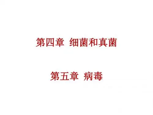 2019年中考生物总复习课件：第五单元第四章 第五章 病毒 (共85张PPT)