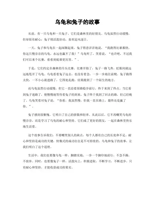 乌龟和兔子的故事