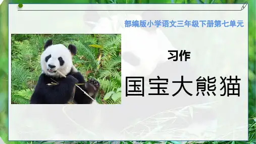 习作：国宝大熊猫 课件-三年级语文下册(统编版)