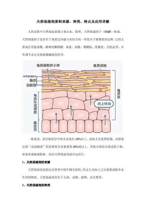 天然保湿剂原料来源、种类、特点及应用详解