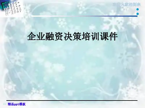 企业融资决策培训课件