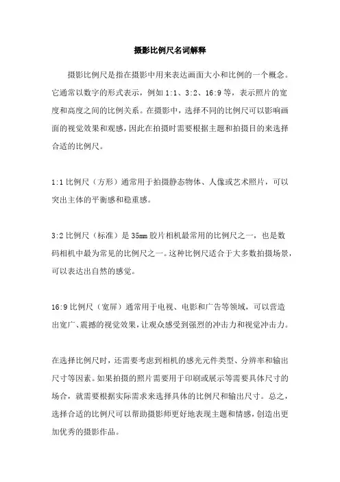 摄影比例尺名词解释