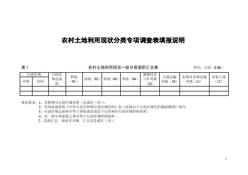 农村土地利用现状分类专项调查表填报说明