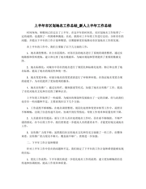 上半年市区划地名工作总结_新人上半年工作总结