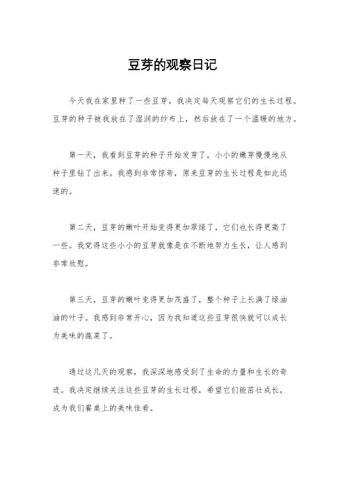 豆芽的观察日记