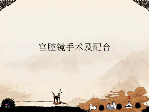 宫腔镜手术(完整版)ppt课件