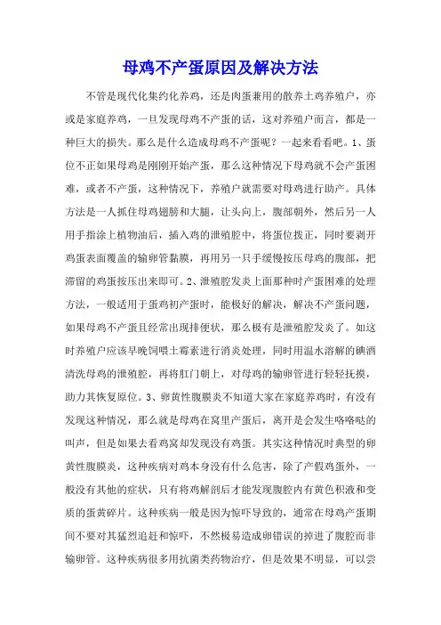 母鸡不产蛋原因及解决方法