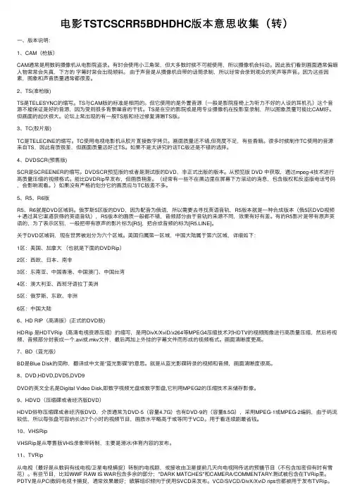 电影TSTCSCRR5BDHDHC版本意思收集（转）
