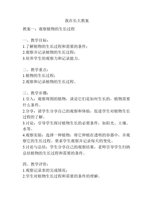 我在长大教案