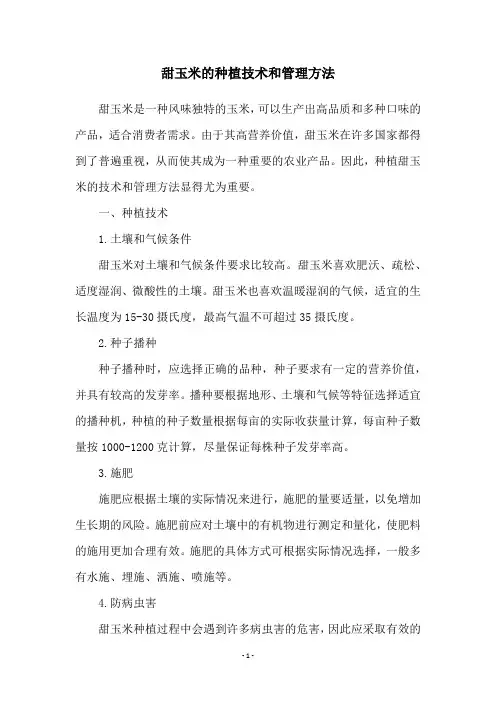 甜玉米的种植技术和管理方法