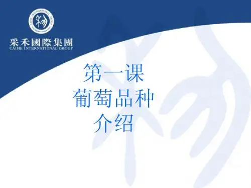 葡萄品种