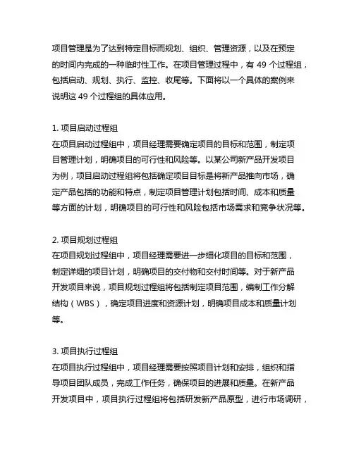 项目管理49个过程组的具体案例