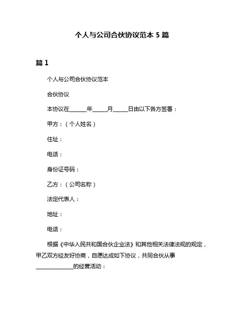 个人与公司合伙协议范本5篇