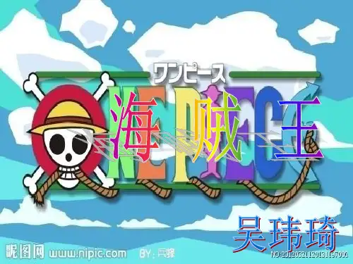 海贼王 人物介绍详解