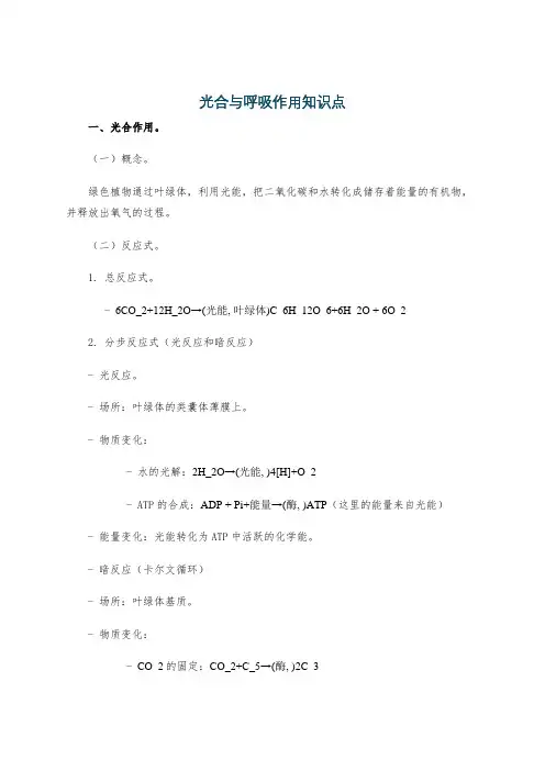 光合与呼吸作用知识点