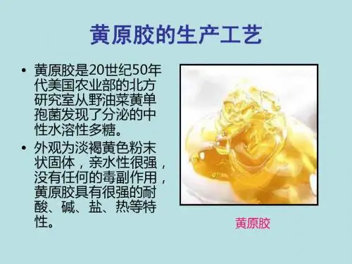 黄原胶的生产工艺及分离(周启锋)