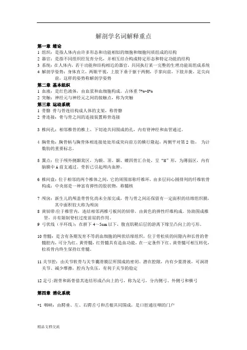 解剖名词解释重点