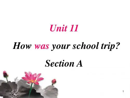 2019年新人教版七年级英语下册Unit11How-was-your-school-trip全单元课件